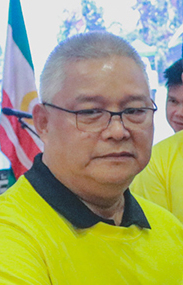 Mamintal Adiong Jr.
